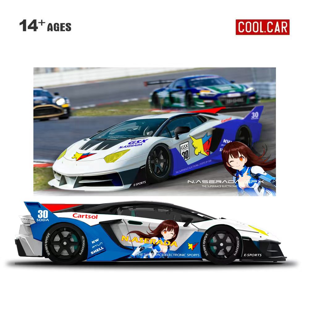 Die Cast Car 1 64 - クールカー 1:64 GTEVO スーパーレース エレクトロニックスポーツペインティング シミュレーション合金車モデル