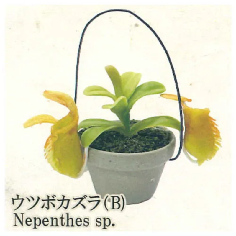 日本レインボーガチャポンカプセルトイ食品虫植物鉢植えミニチュ - Capsule Toy Gashapon のレビューと価格